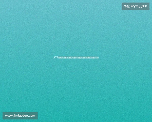 ATP赛事级别划分全景解析:深入探讨从大师系列到挑战赛的分级体系与标准 ATP赛事级别划分全景解析:深入探讨从大师系列到挑战赛的分级体系与标准